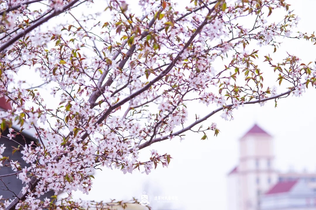 辽宁何氏医学院：国家级风景区里的大学