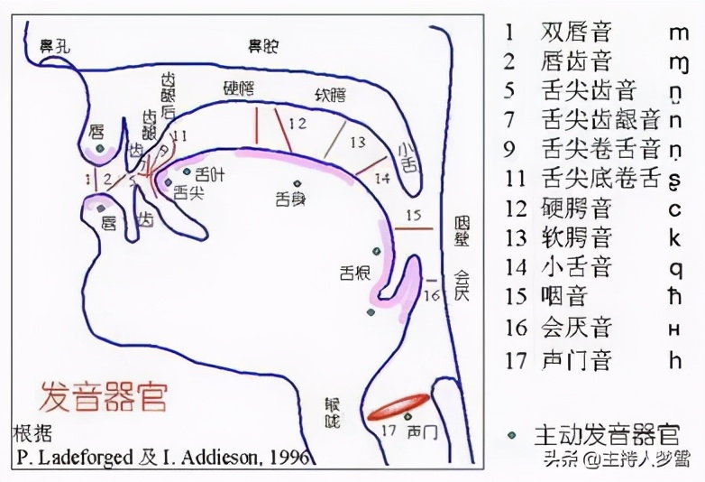 中国播音主持专业院校排名不知道？全在这里