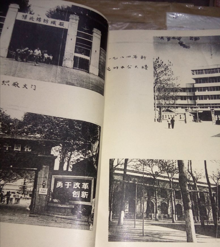 1982年，安阳纱厂医院院花离奇失踪，病人主动扫厕所暴露藏尸点