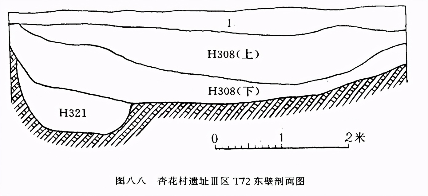 山西省汾阳市杏花村发现仰韶文化遗址