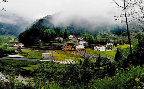 让人过目倾心的田园诗句：独出前门望野田，月明荞麦花如雪