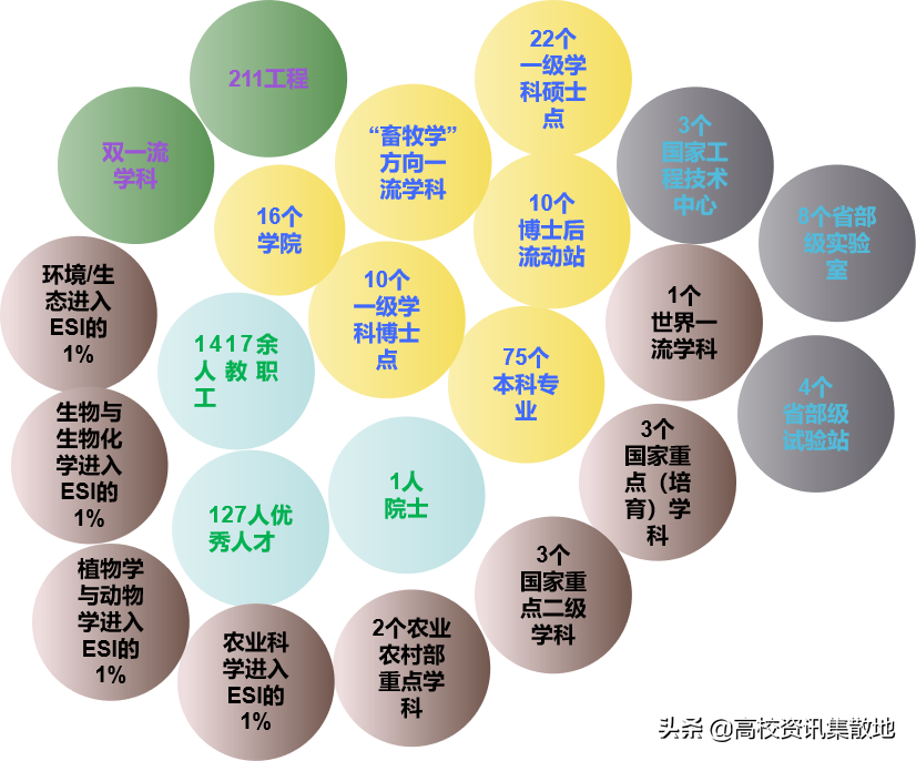 薪资和发达省市不再是就业首选｜揭秘双一流高校东北农大