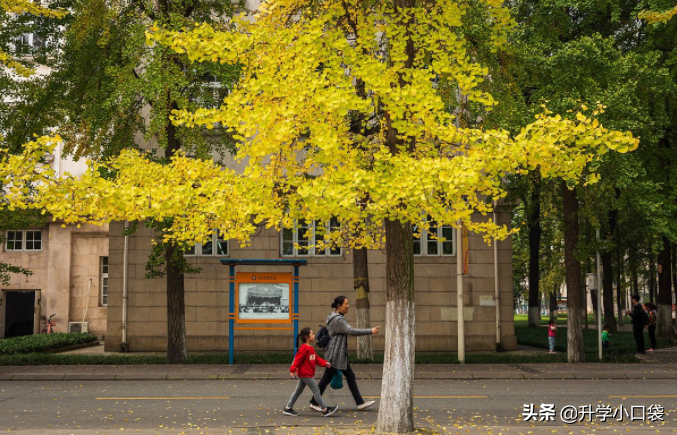 985大学临床医学，去年遭遇断档，被507分考生捡漏，今年分数如何