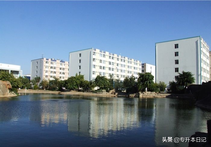 「2020专升本招生简章」云南师范大学商学院/艺术学院文华学院