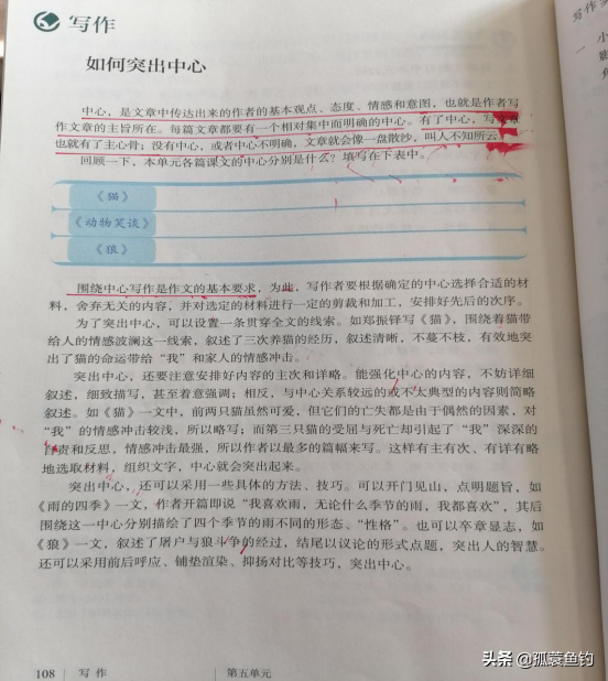 篇有主旨：寻找主旨句