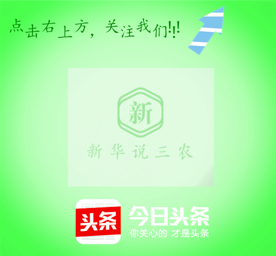 什么是脱霉剂（什么脱霉剂效果好）