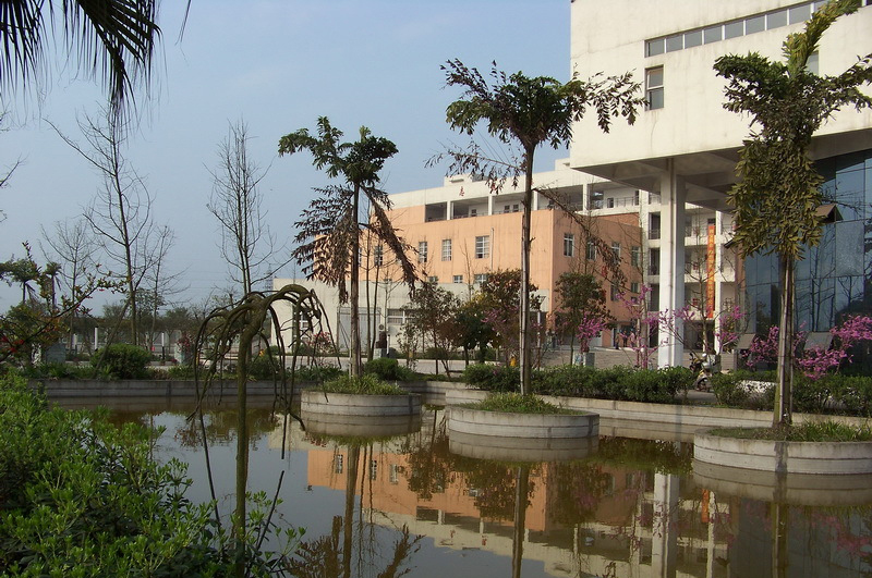 四川内江2020高考，资中二中、内江六中创佳绩，分获市文理科状元