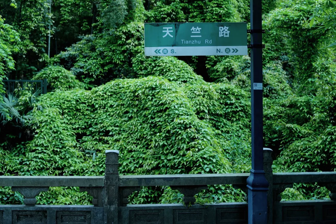 杭州终极拜佛攻略｜走这条路，一天解锁灵隐法喜7大宝藏寺庙