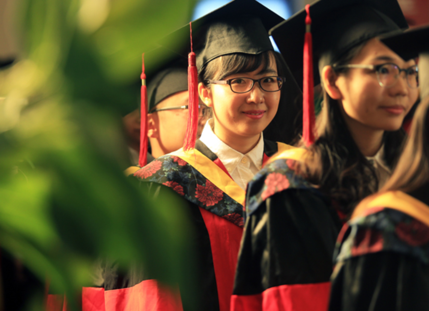 教师法修订将提高教师“准入门槛”，师范生该如何应对这一变化？