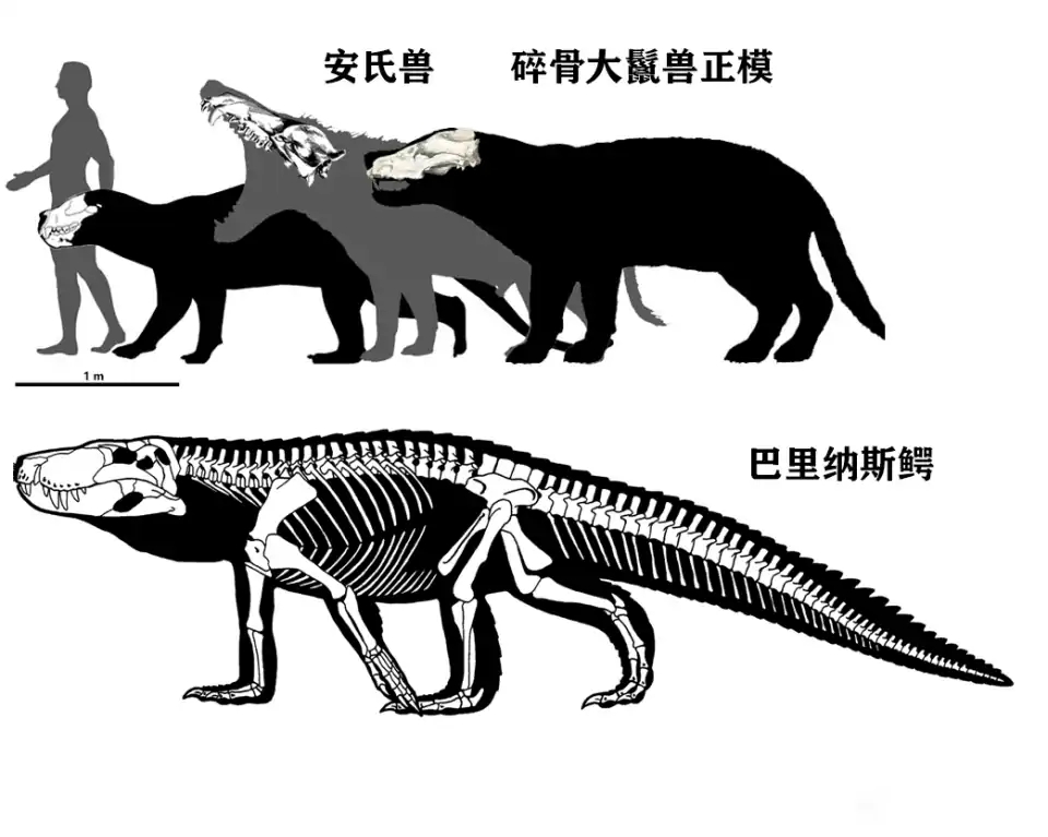掠食者x和巨齿鲨哪个厉害(巨齿鲨和卷齿鲨) - 风集网