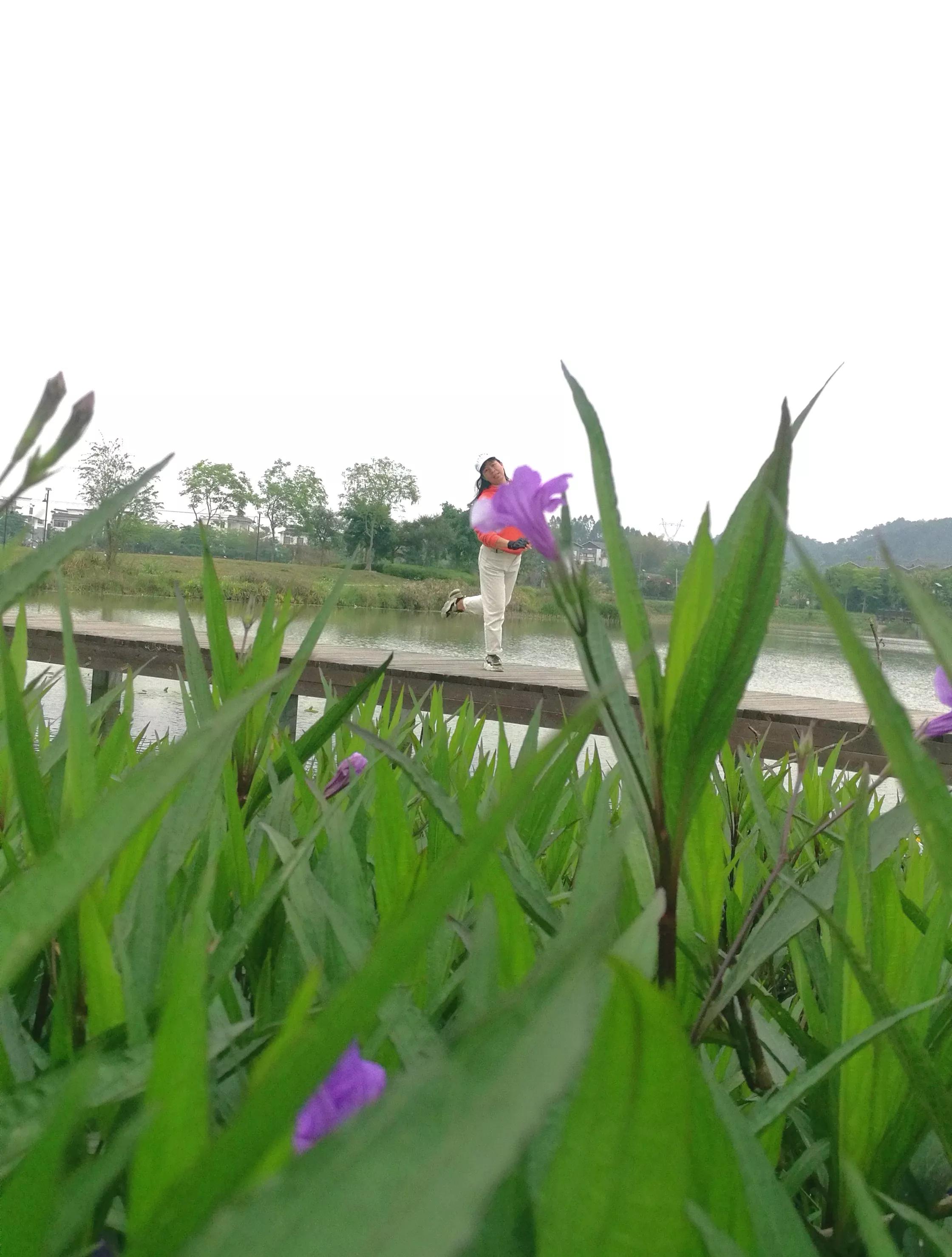 不登钓鱼岛，也要登爱情岛