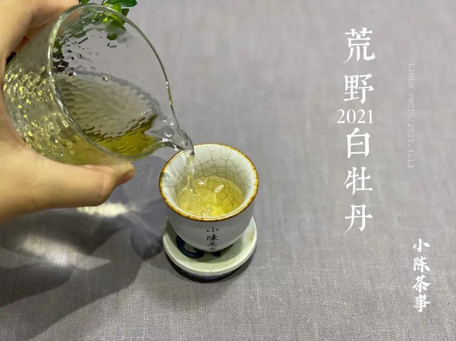 盖碗、烧水壶、公道杯，一份详尽的茶具选购清单，你买对了吗？