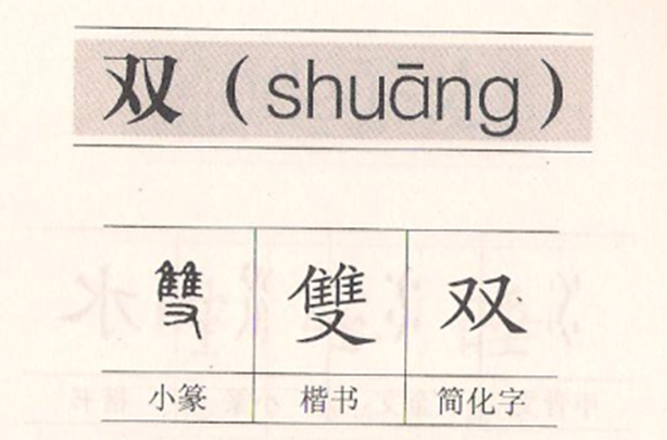 小学语文一年下册《姓氏歌》知识积累干货、能力扩展训练