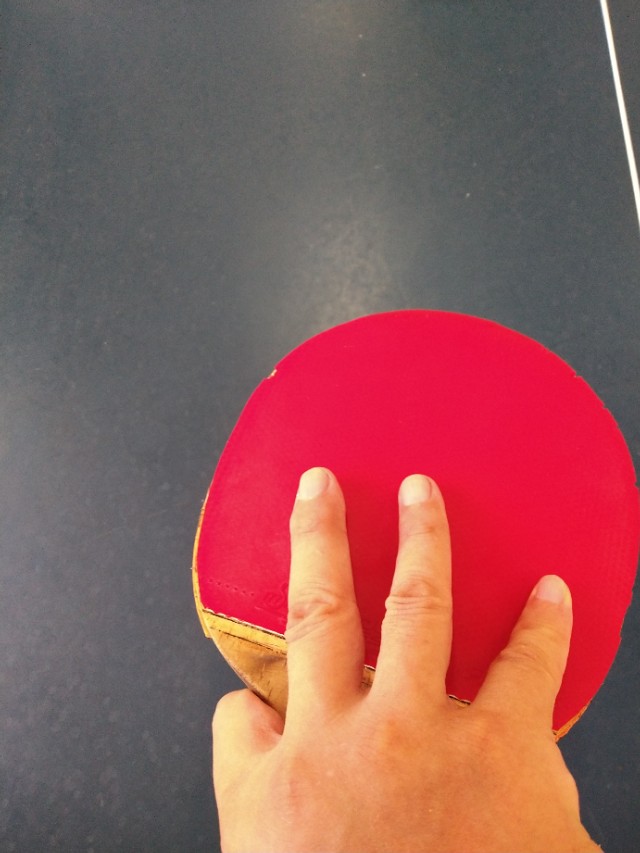 乒乓球握拍姿势(乒乓球握拍姿势有规定吗)-第13张图片-尚力财经