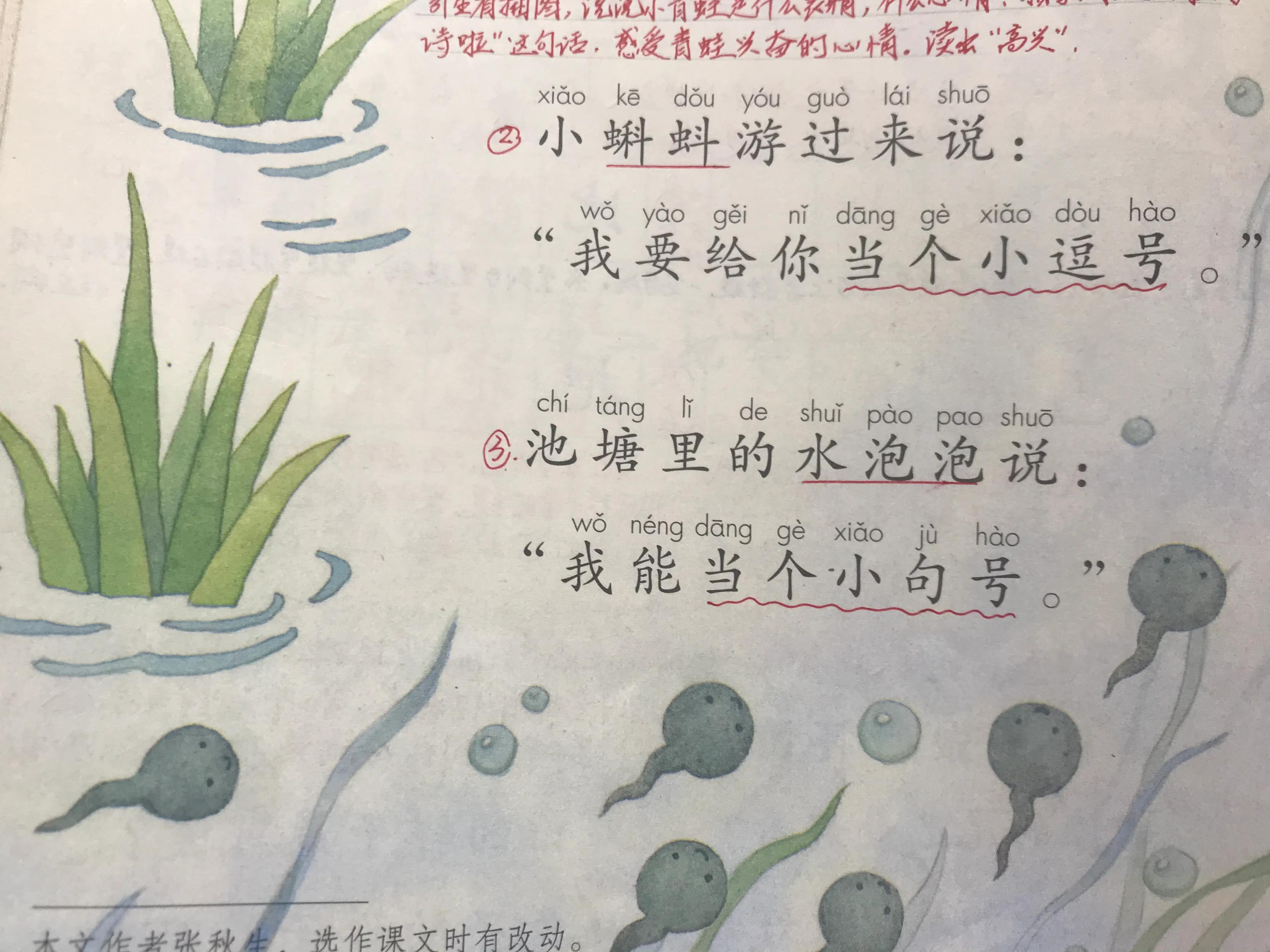 一年《青蛙写诗》，一线语文教师讲得真细致！家长纷纷点赞