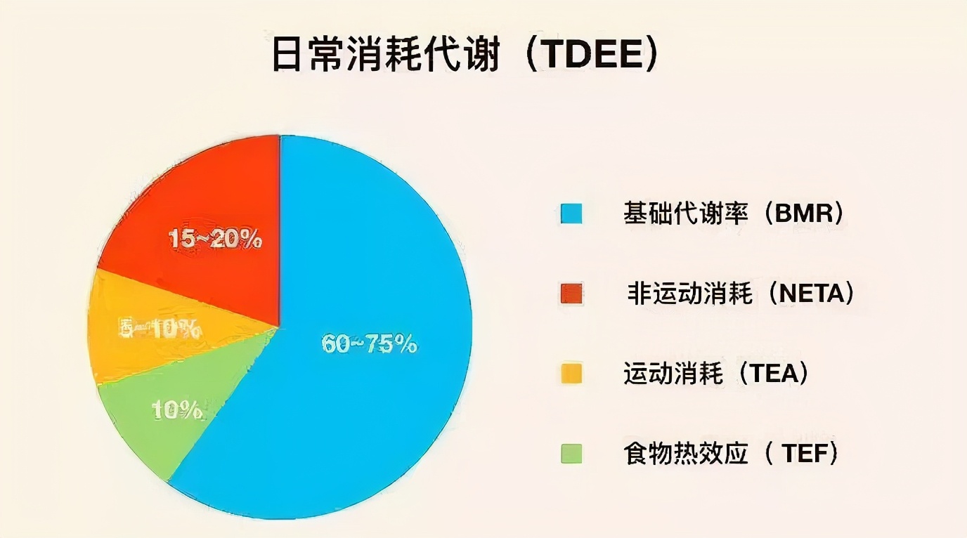 坚持跑步，体重反而上升了？越跑越胖，这3个原因是罪魁祸首