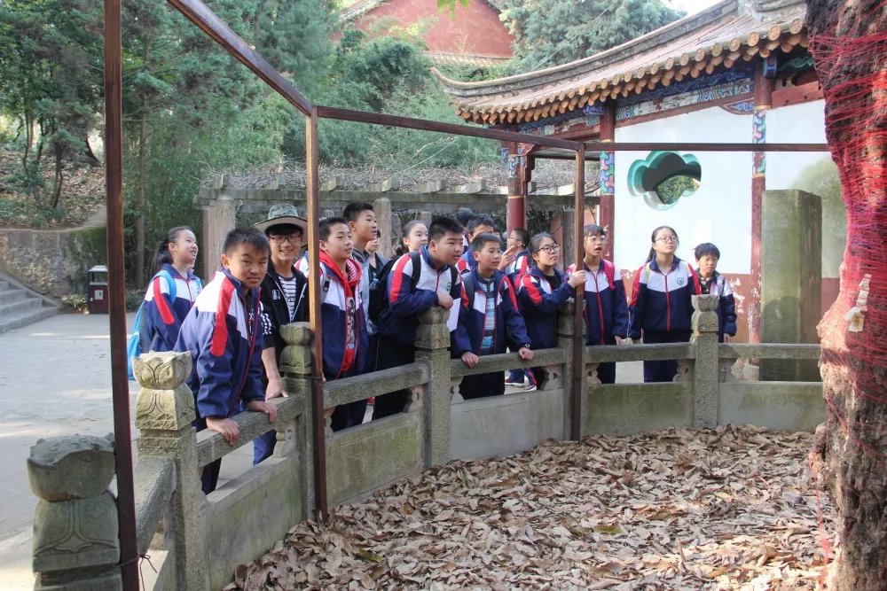 昆明市一等奖！云南农大附中2019年高考质量再登新高