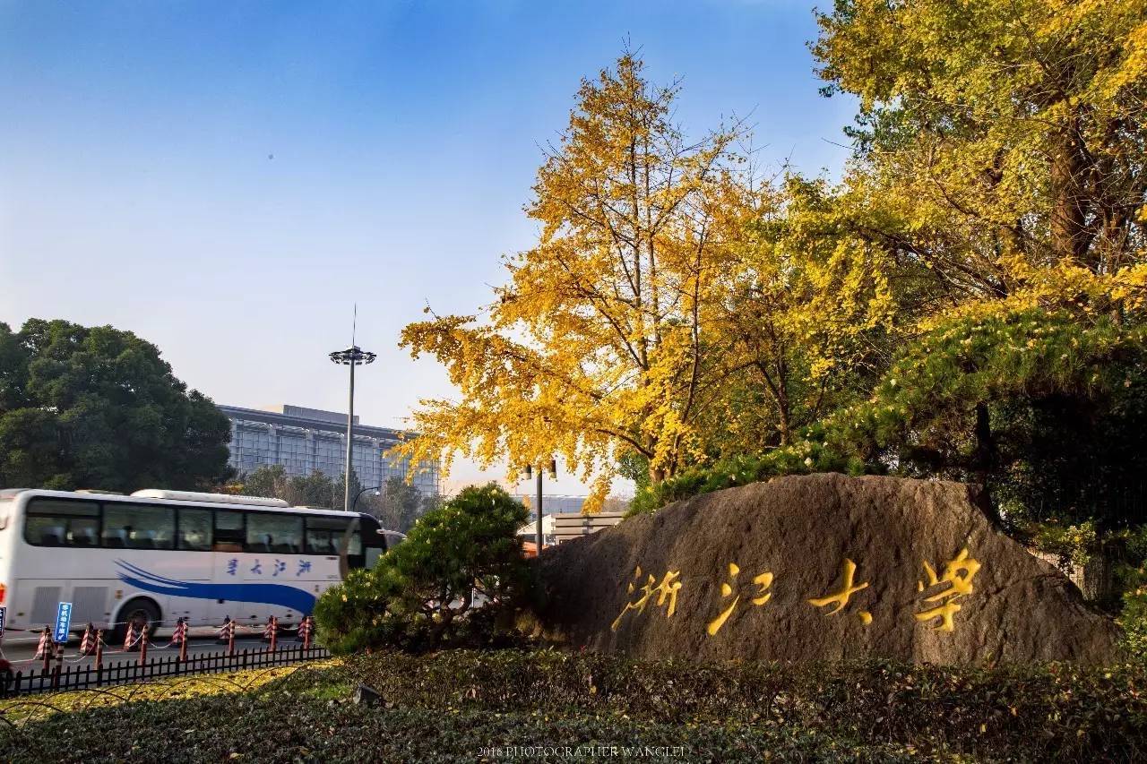 浙江这座城市又迎来一所重量级985大学，高等教育迎来大发展