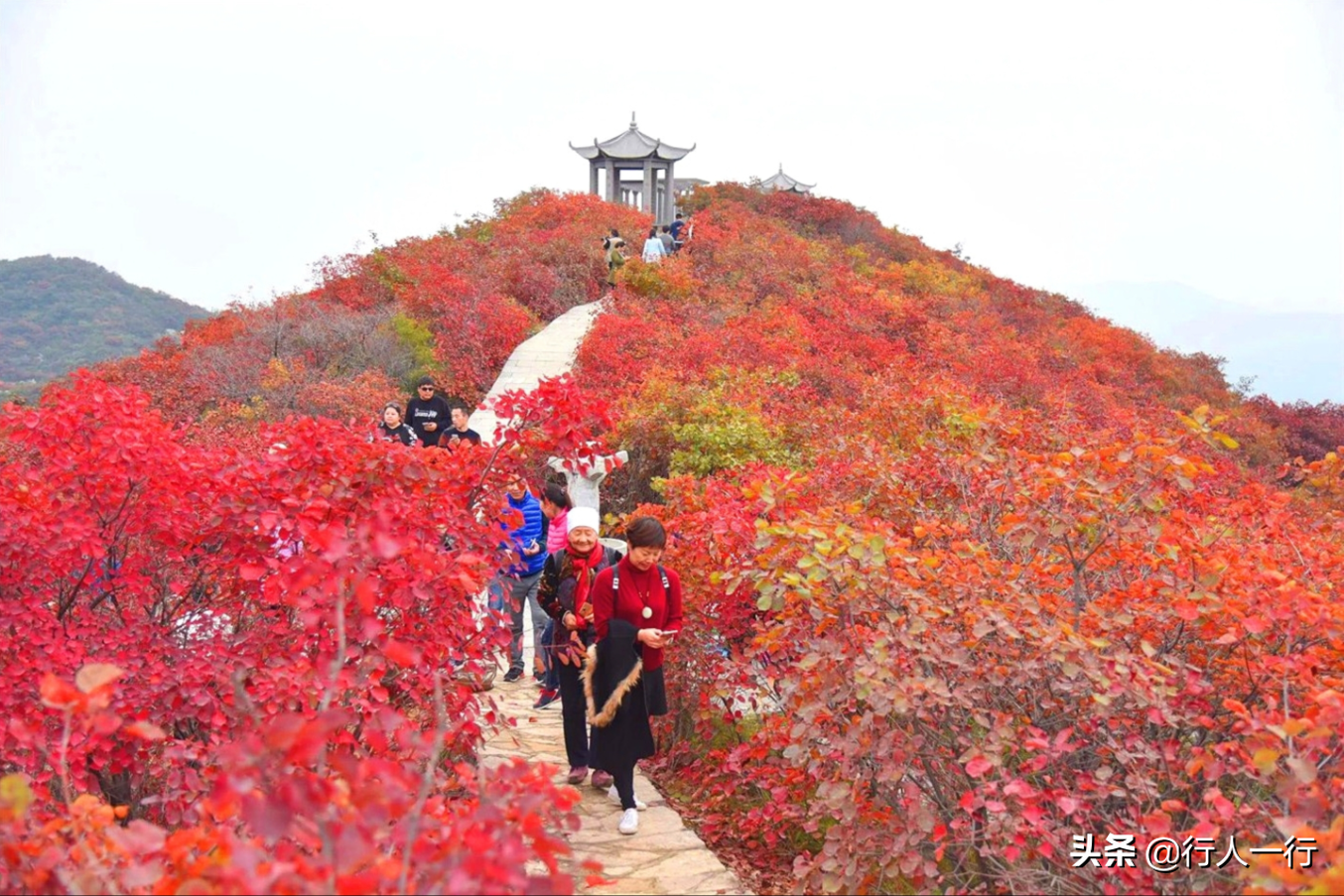 河南的秋天，这10大景区一定要去看看，每一处都美出仙境，还免费