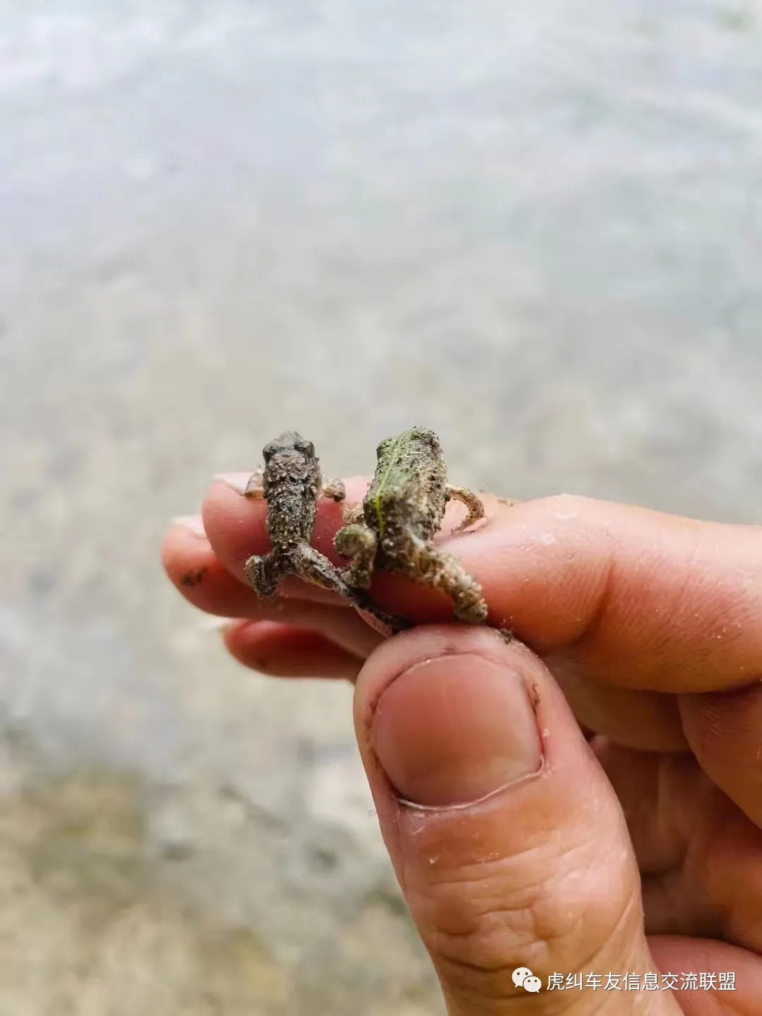 福建车茶机车俱乐部之初秋踏板局骑行游记