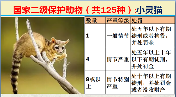 国家保护动物分几个等级（125类二级野生保护名录）