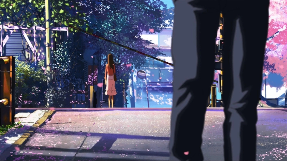 《秒速五厘米》这部新海诚导演的致郁动漫,你看懂了多少?