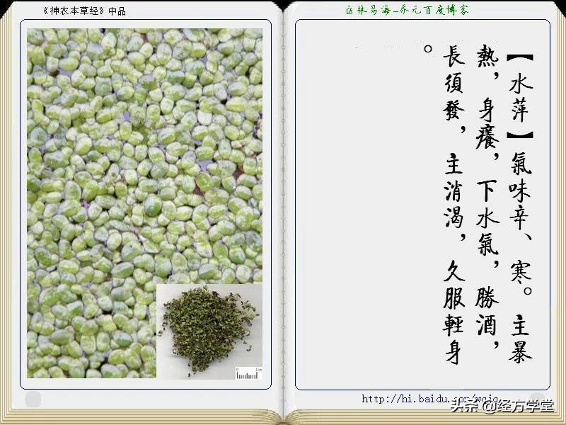 《神农本草经》全册图文解析 建议收藏