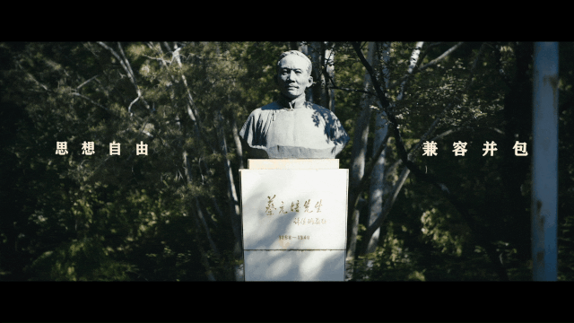 北京大学2020年招生宣传片发布！就在《你的大学，绽放》！