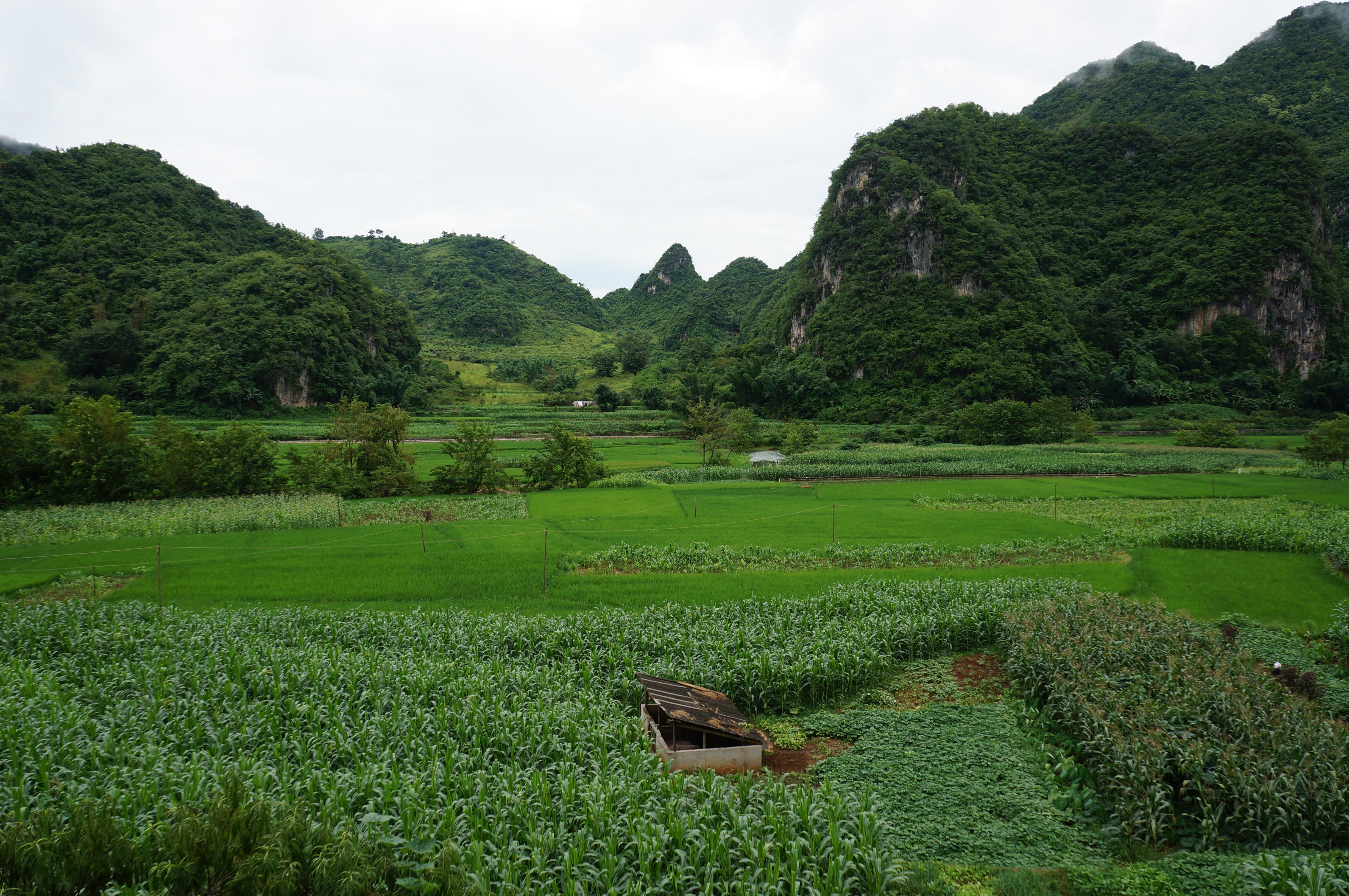 就在云南，隐藏了千年的秘境，被旅人称为“最后的世外桃源”