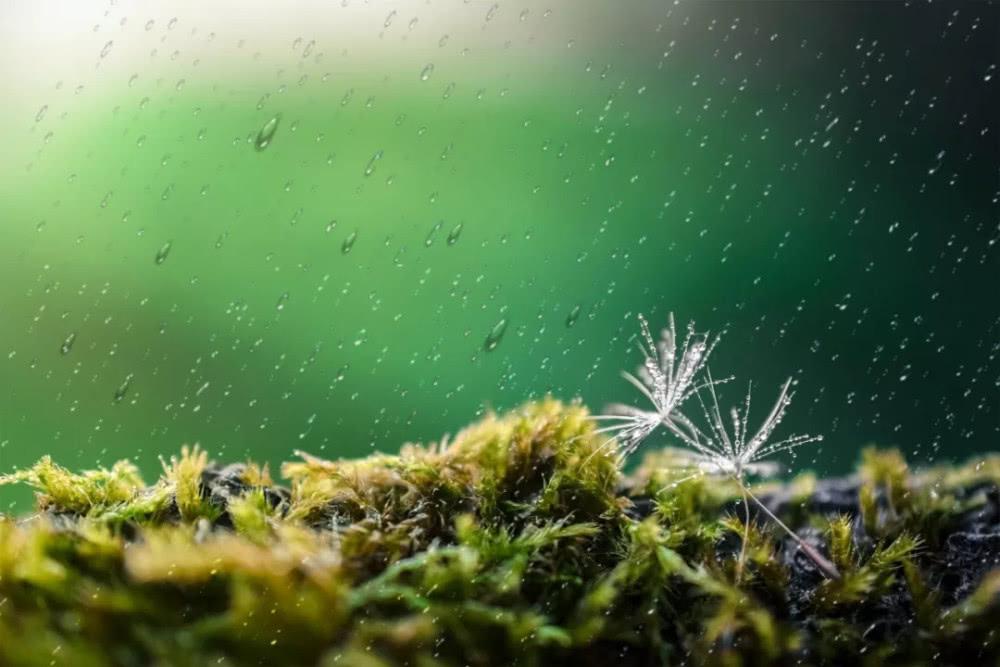 5首美得令人窒息的唐诗，外加一句千古流传的名句！