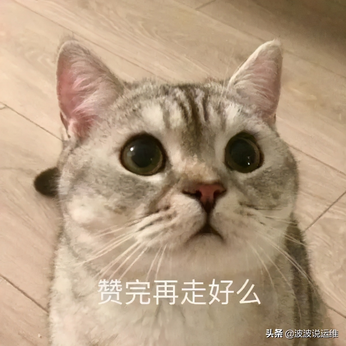 分享一款代码编辑器——vscode安装部署及配置教程