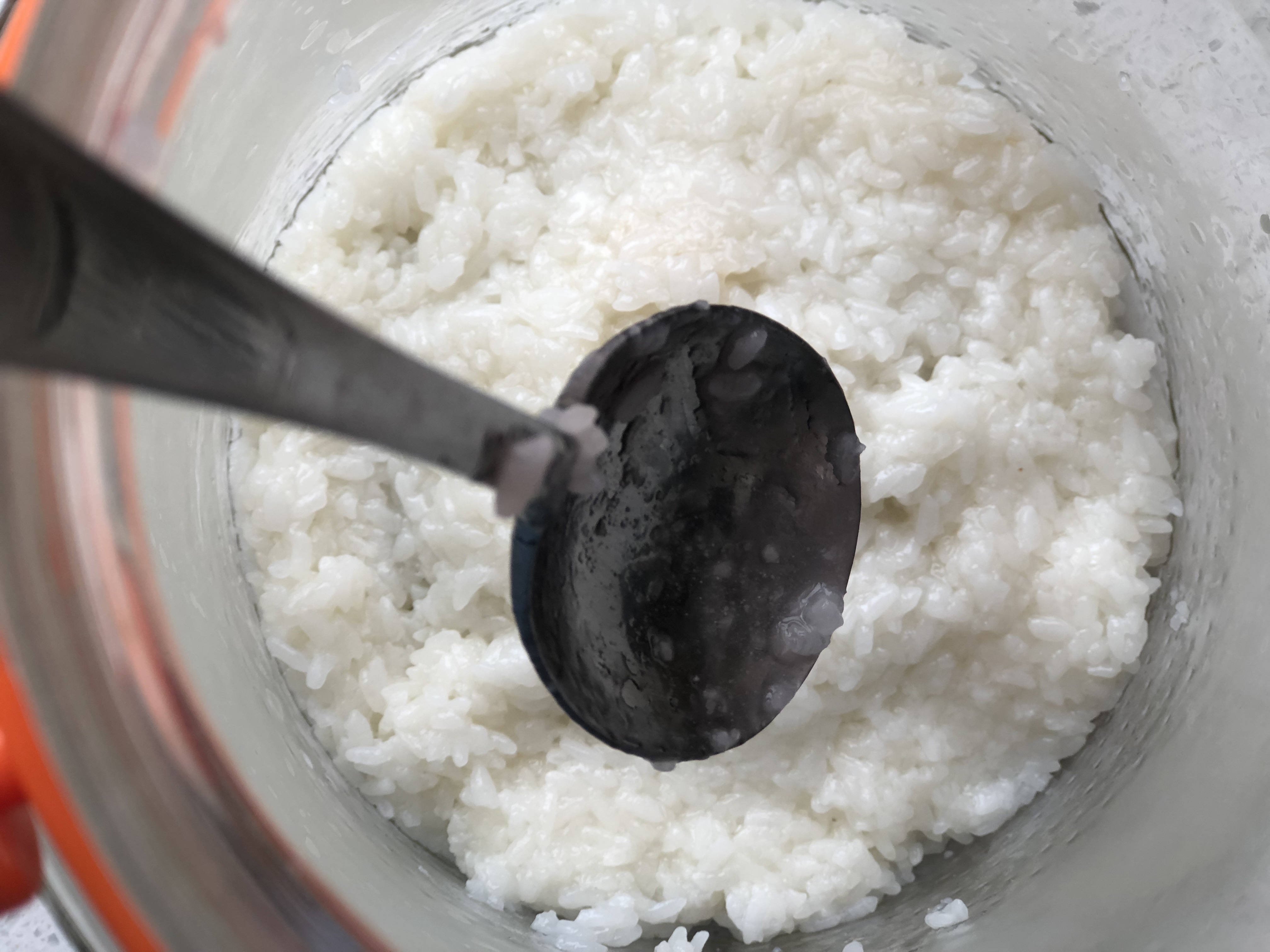 这就是自酿米酒（醪糟）最详细的做法，没有之一，现在做温度正好