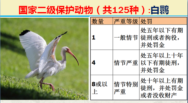 二级保护动物（国家最新125类二级野生保护名录）