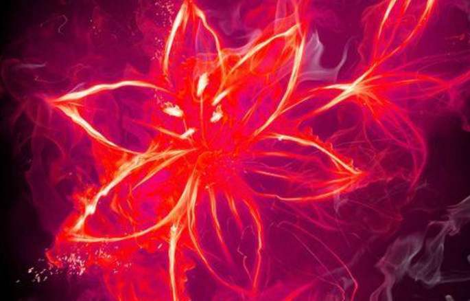 萧炎得到的异火顺序萧炎得到的异火顺序是什么