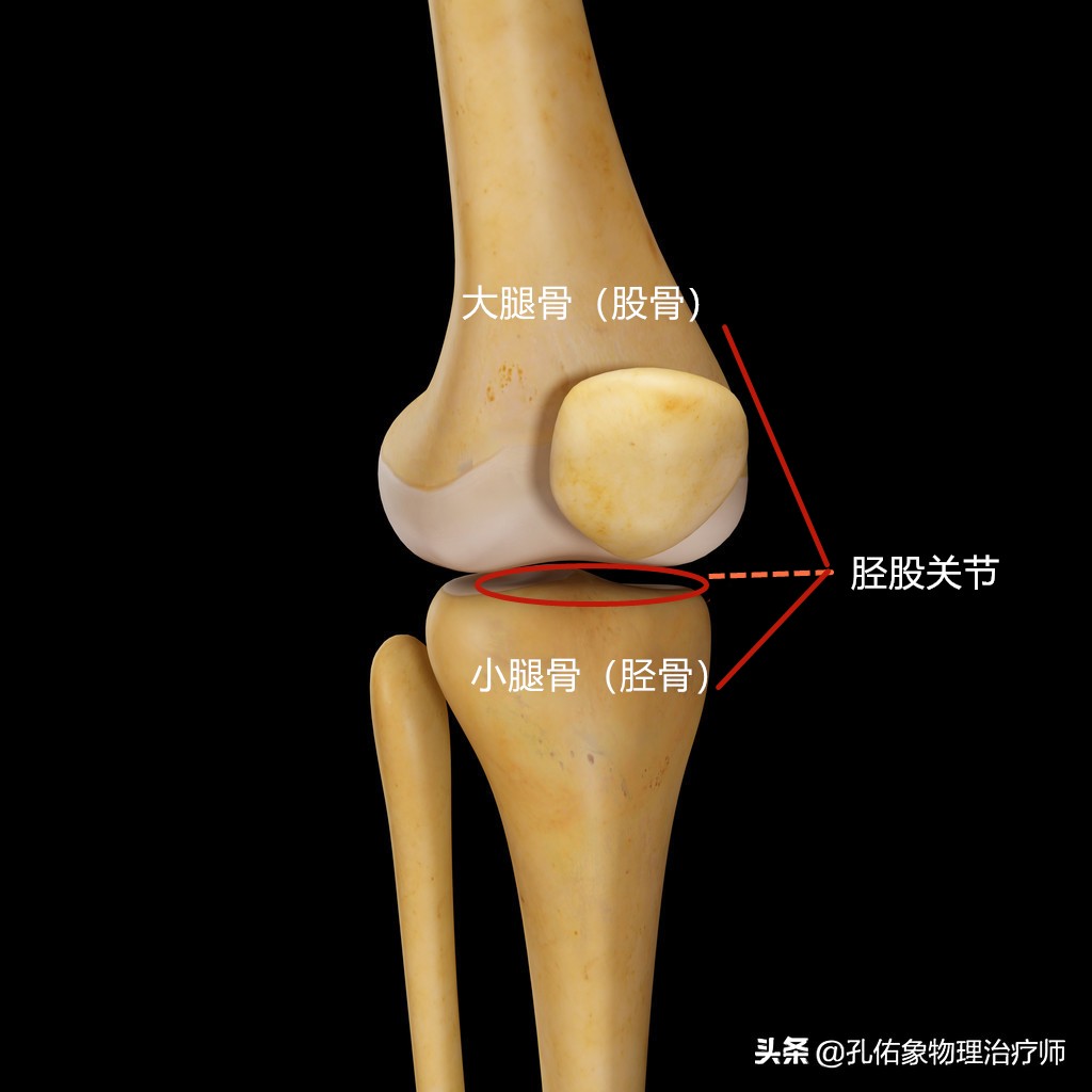 膝盖以下腿酸软无力看什么科(上下楼时膝盖疼痛打软腿，教你简单判断是啥问题？并给出治疗方案)