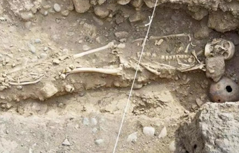 1963年，河北女会计携巨款神秘失踪，21年后从水泥地中挖出尸骨