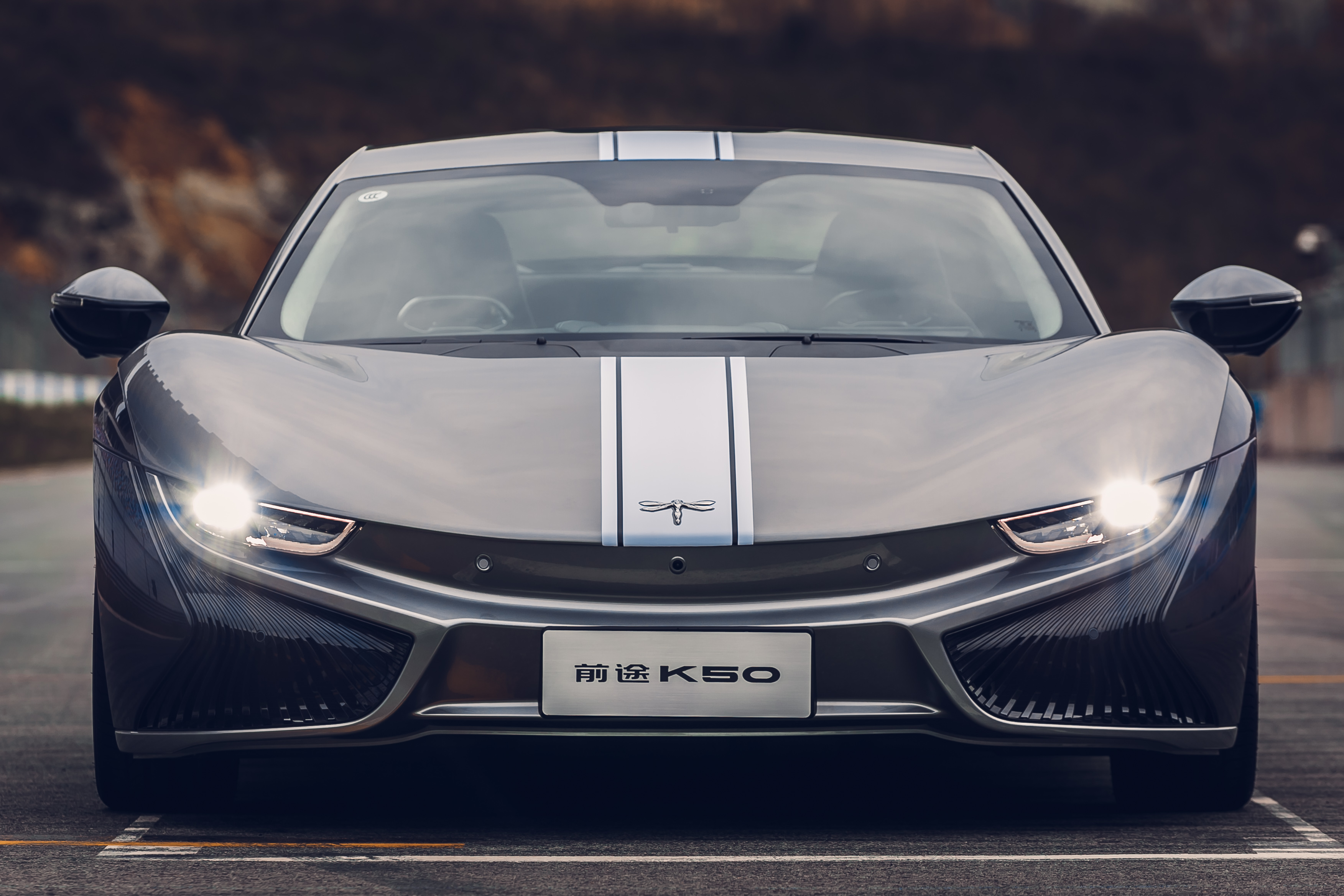 第一款量产的纯电动汽车_国产已上市的电动跑车 - 阜阳汽车网