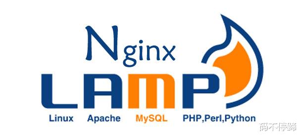 如何在Linux系统下成功搭建LAMP环境？
