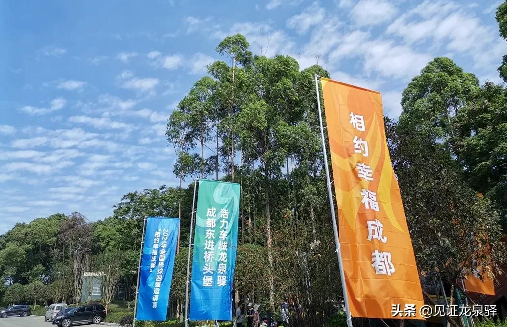 云南体育场看台座椅设计(准备就绪！2021年全国排球四强邀请赛即将在龙泉驿开战~)