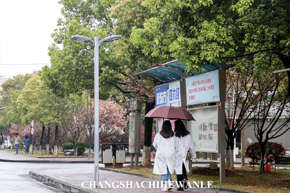 下一站：湖南中医药大学