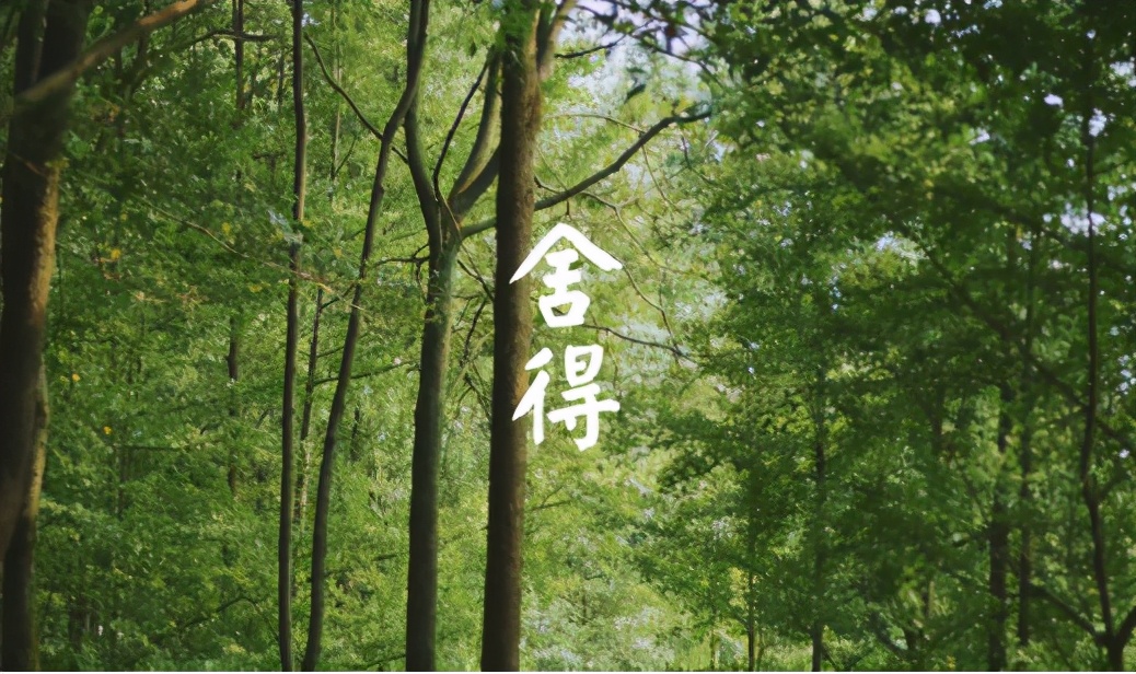 时光淬炼匠心，细节铸就卓越