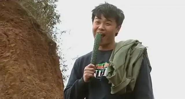 好看的电视剧豆瓣高分（推荐10部评分最高的电视剧）