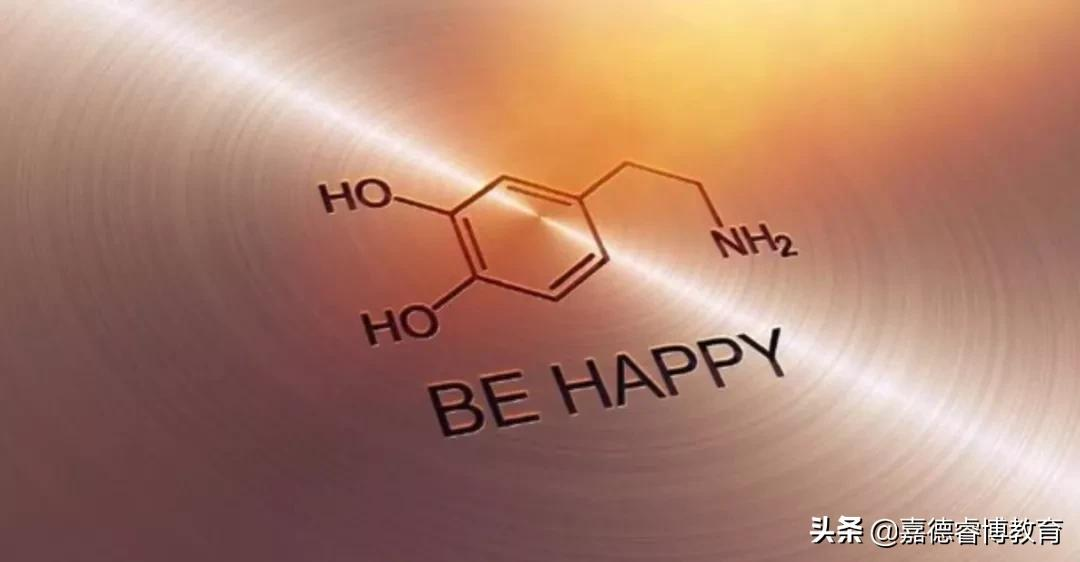 专访清华心理系主任：他把中国家庭的教育焦虑，分析得好透彻