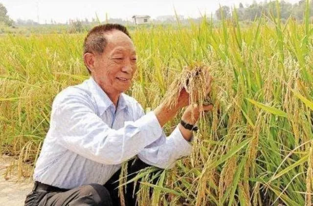 袁隆平的接生大夫竟是这位……两代大师的“时空之缘”！