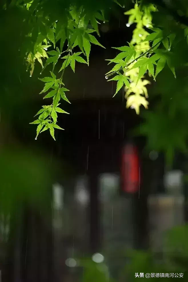 诗词 l 九首写雨的诗词，美到让人心碎