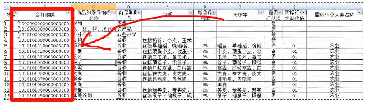 我想查询进项发票上的具体税收分类编码，该怎么做