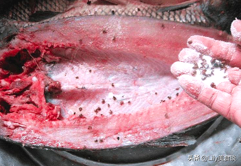 冬天腌鱼时，直接抹盐就错了，多做一步，鱼肉鲜香紧实，还没腥味