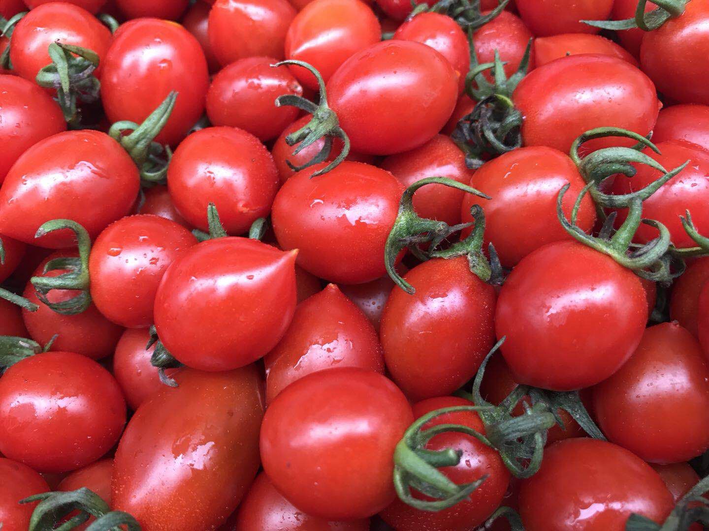 超市常见的8种圣女果,哪种最好吃?你吃过几种呢