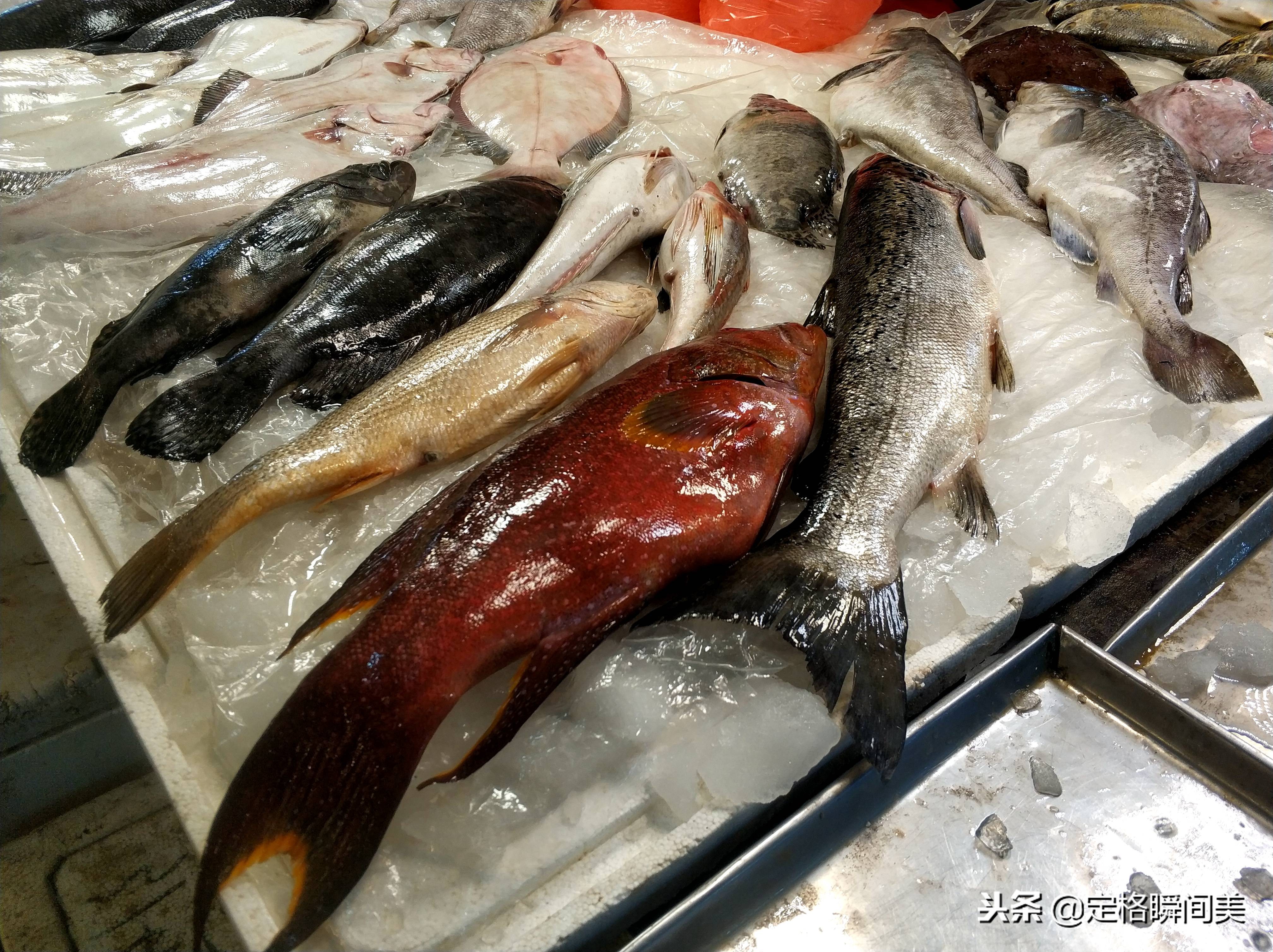 看这是大厅市场里,摆放着鲈鱼,牙片鱼和黑头鱼,最