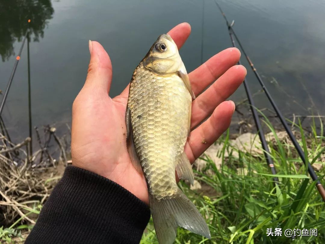 西南风钓鱼最佳钓位（西南风钓位的选择）-第4张图片-华展网